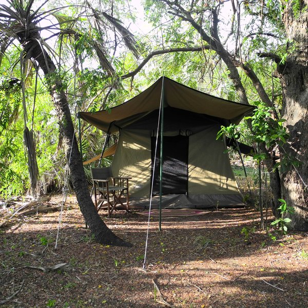 Impala fly-camp
