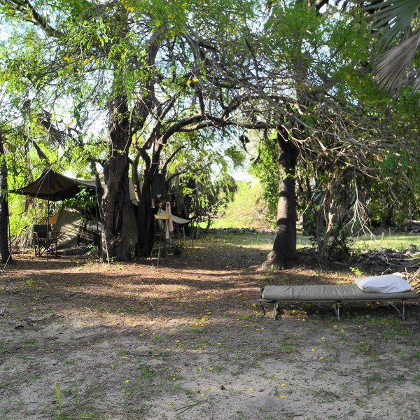 Impala fly-camp