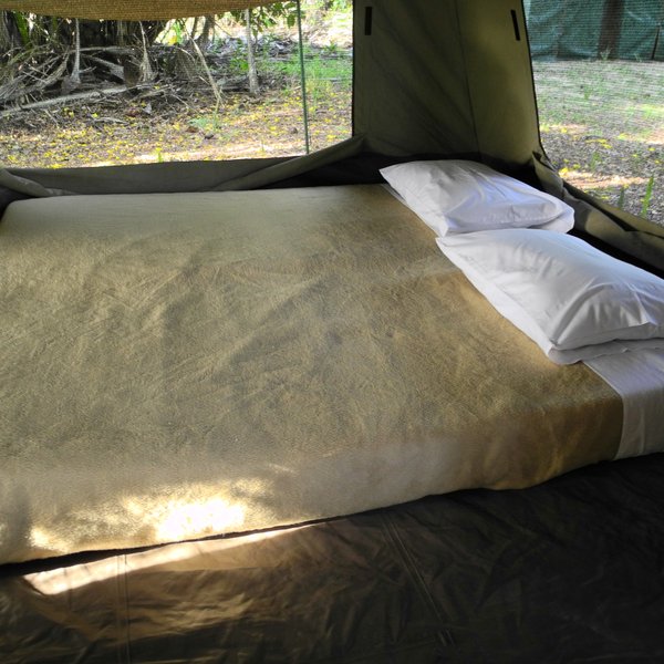 Impala fly-camp