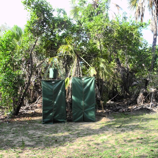 Impala fly-camp