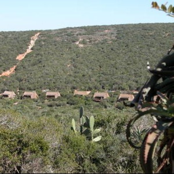 Matyholweni Rest Camp is located at Sunday's River Mouth near Colchester.