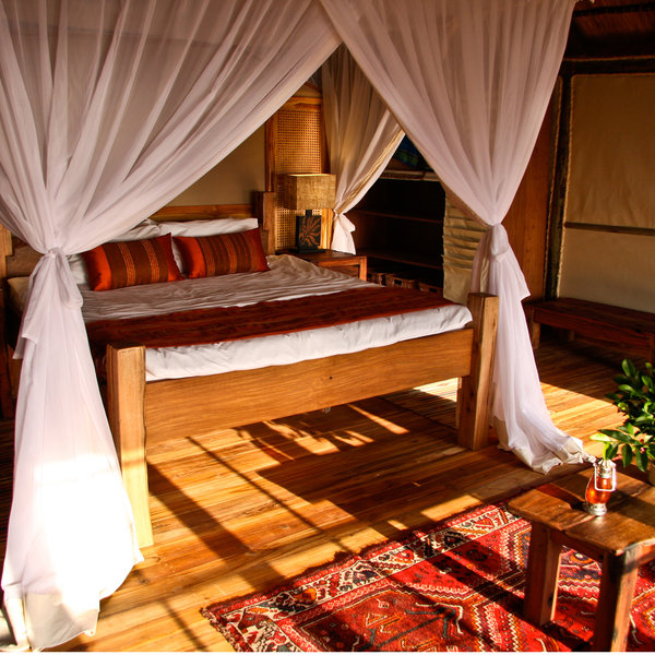 The beach is directly outside the front of your room, with the bush directly behind it.
