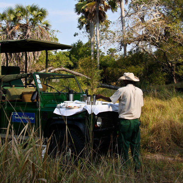game drives and walks start in the bush and end on the beach.