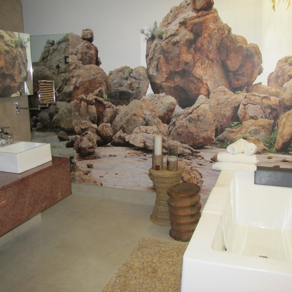 Striking murals adorn the bathroom walls of the Erongo Premier Suite...