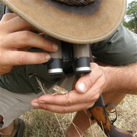 ...learning about small creatures....