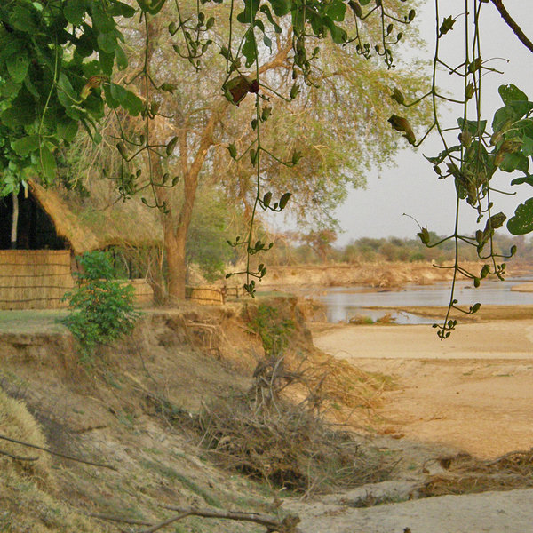 Tafika