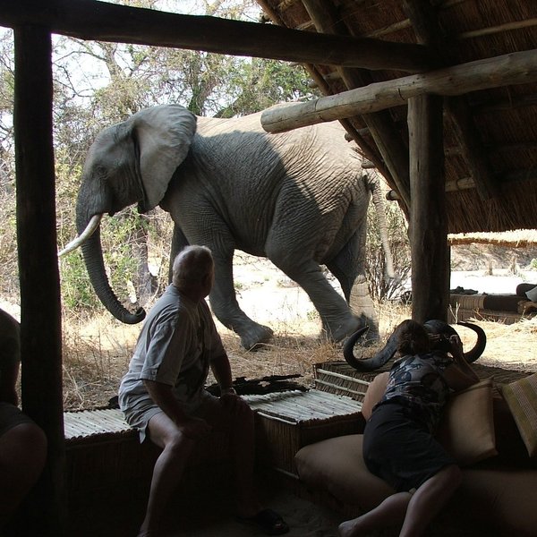 Mwagusi Safari Camp