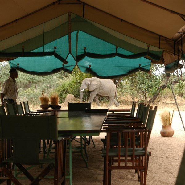 Mdonya Old River Camp