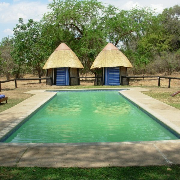 Unusual for camps in South Luangwa, Nkwali has a small swimming pool.