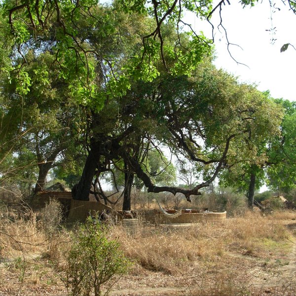 Mwamba Bushcamp