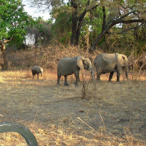 Mwamba Bushcamp