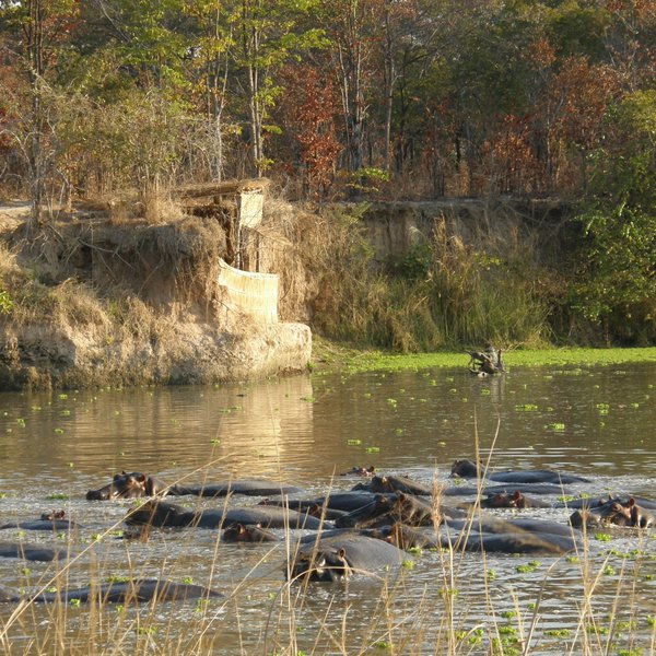 Luwi Bushcamp