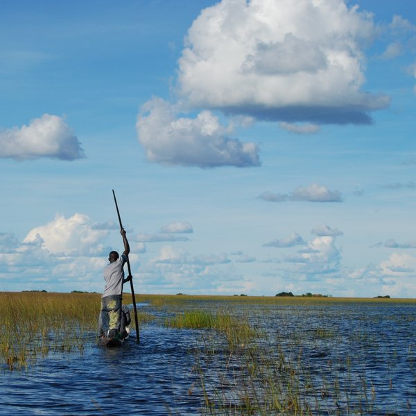 Shoebill Island Camp