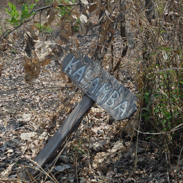 Kapamba is located in the far south of the South Luangwa National Park.