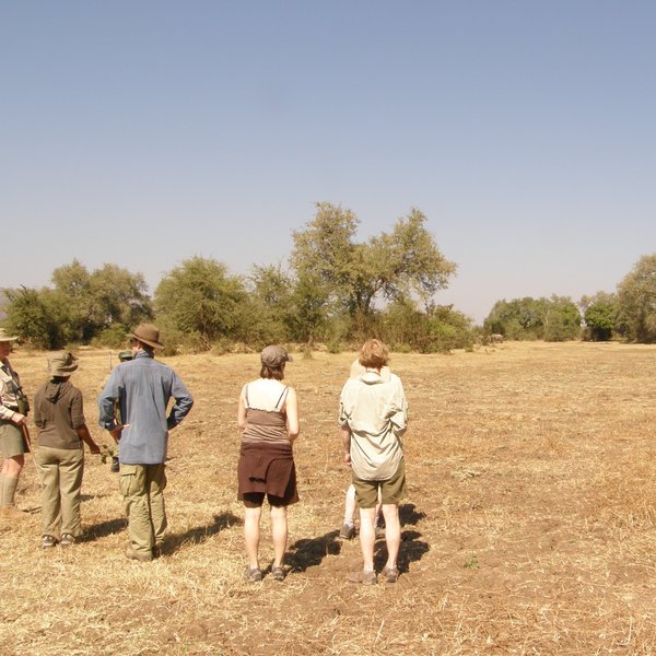 Kuyenda Bushcamp