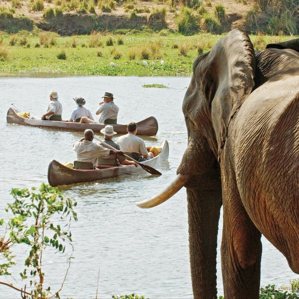 Chongwe River Camp