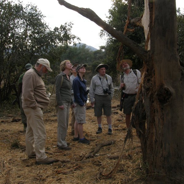 Chongwe River Camp