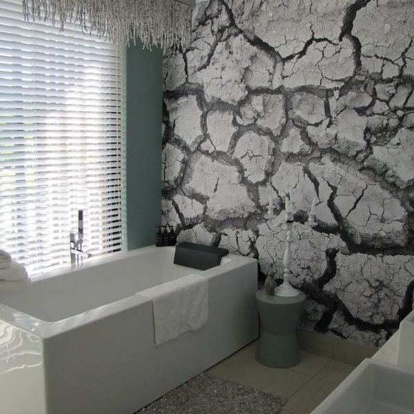 ...and the Etosha Premier Suite.