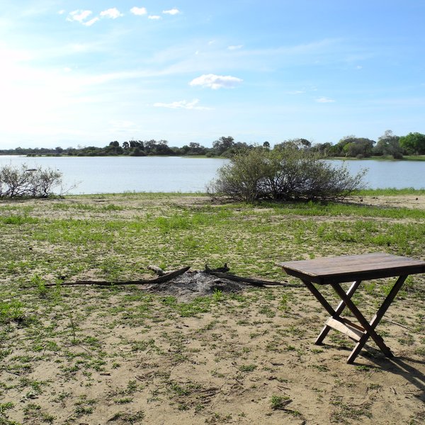 Impala fly-camp