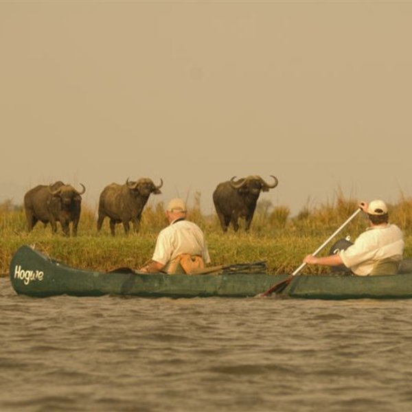 Activities include canoeing and walking safaris as well as 4WD game-drives from camp ...