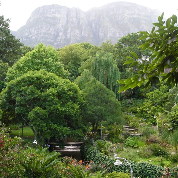 with lovely views of Table Mountain