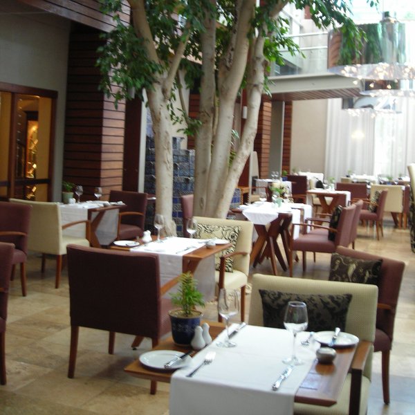 The courtyard restaurant is the main restaurant set in a covered courtyard with large trees
