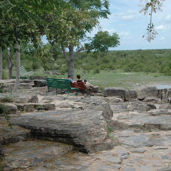 Halali Camp