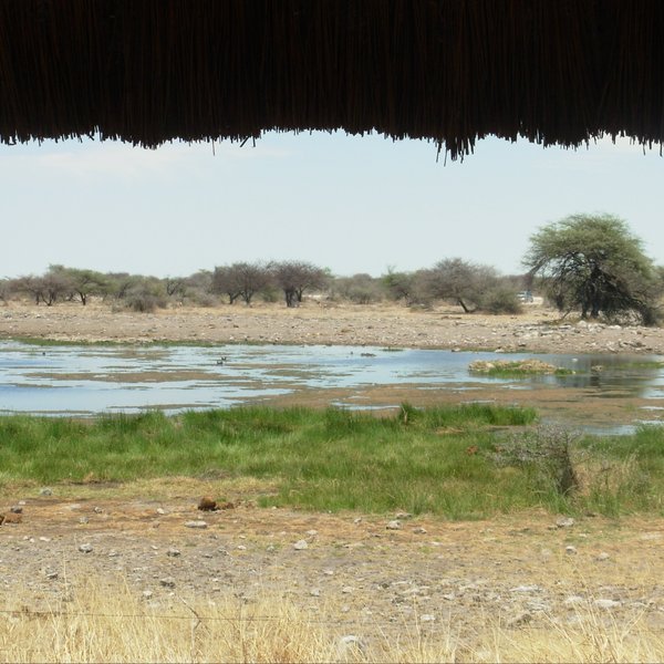 Namutoni Camp