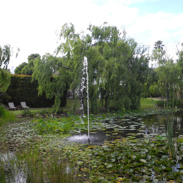 ...overlooking the lush gardens.
