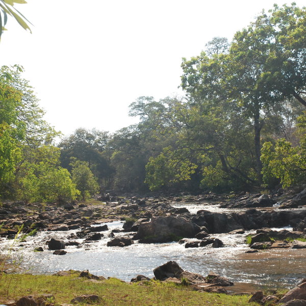 Mwaleshi Camp