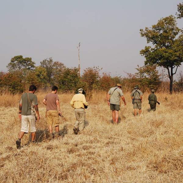 Mwaleshi Camp