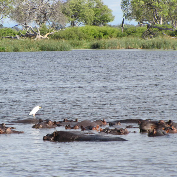 ...where you'll come across a variety of wildlife...