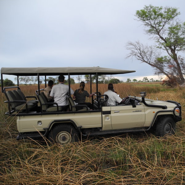 Guided activities focus on game drives...