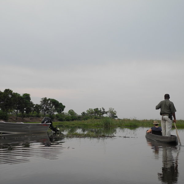 Linyanti Bush Camp