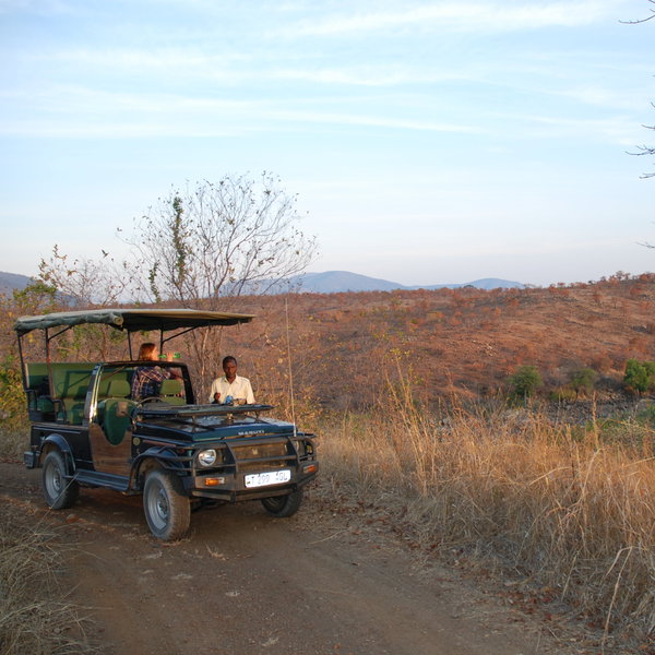 Ruaha River Lodge