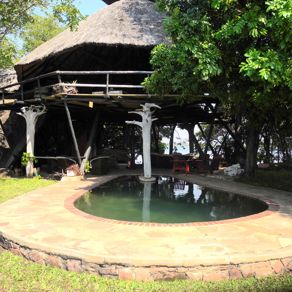 Musango also has a small pool in front of the main area - ideal for a dip in the heat of the day.