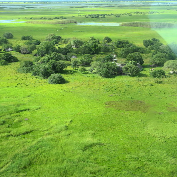 Shoebill Island Camp