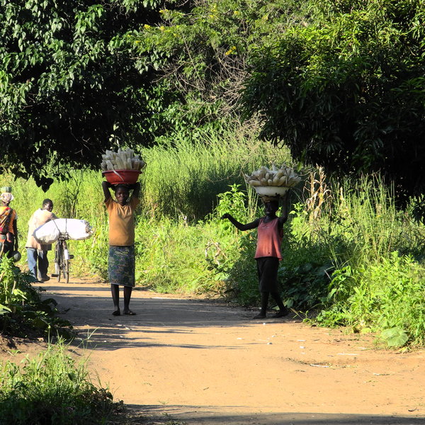 Kawaza Village