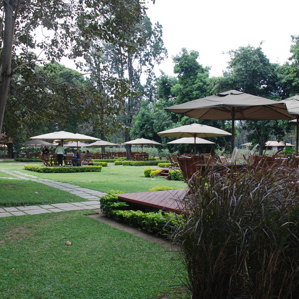 ...and wooden tables and chairs are dotted around the lawn for al fresco meals.