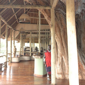 Inside you realise that the lodge has been built around another huge baobab tree.