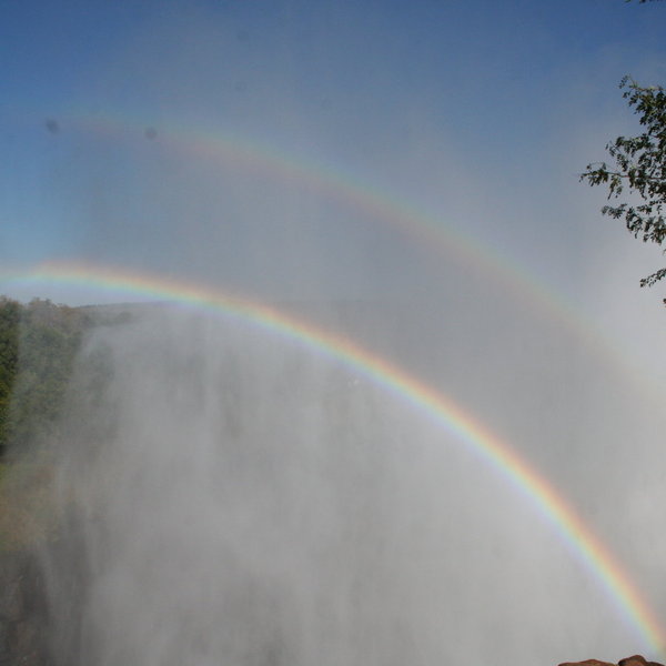 Tongabezi