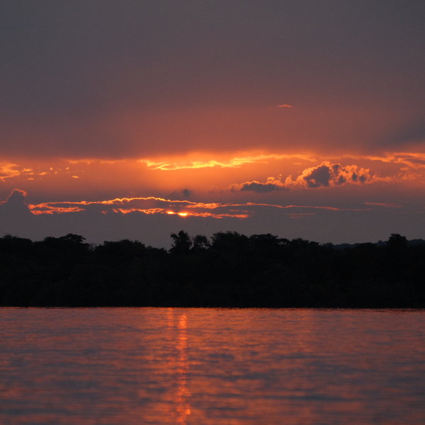Tongabezi