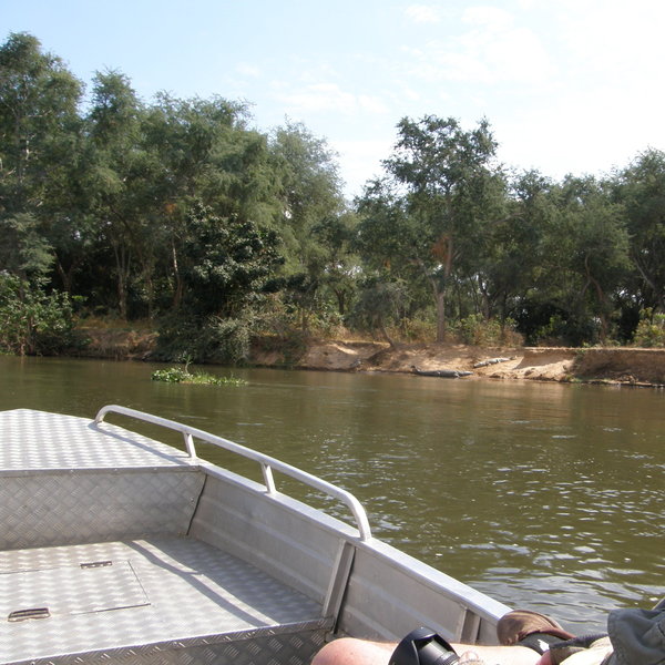 Activities at Sausage Tree Camp focus on boat trips...