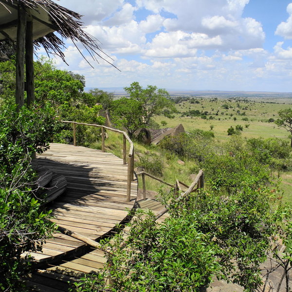 Lamai Serengeti