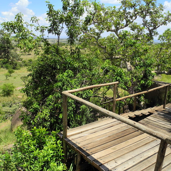 Lamai Serengeti