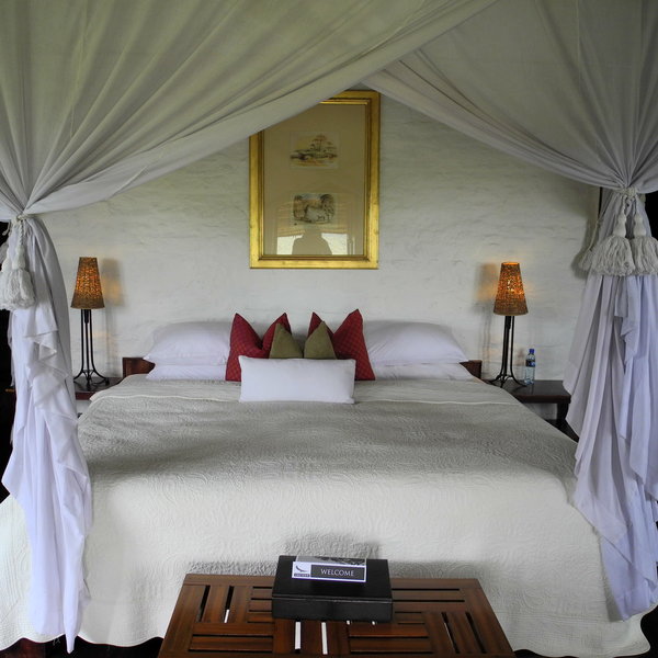 ...and have comfortable beds...