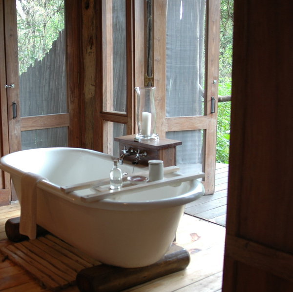 Lake Manyara Tree Lodge