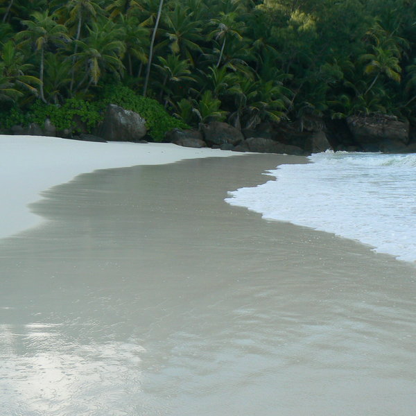 North Island