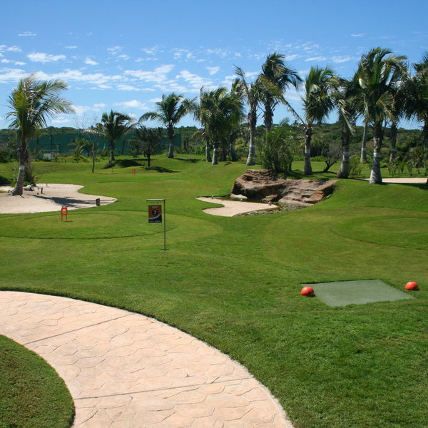 ...play golf…