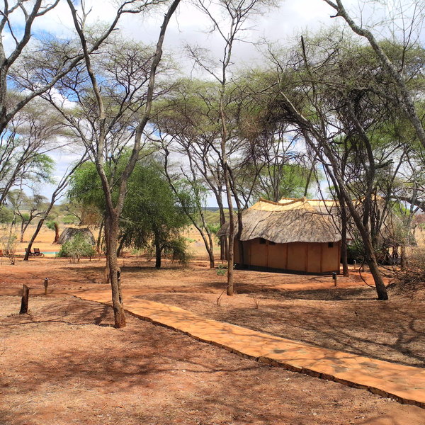 Swala stands in the remote south-west corner of Tarangire National Park.